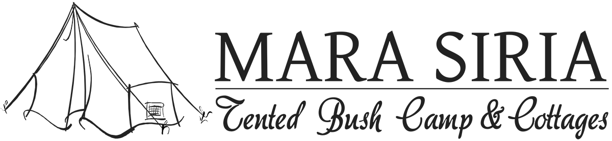 Mara Siria Header Logo