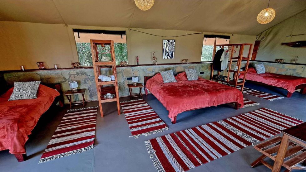 Deluxe-Zelt für Familien Innenansicht des Zelts mit Betten im Safari Camp