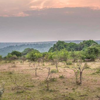 Masai Mara Reitsafari auf dem Oloololo Höhenzug