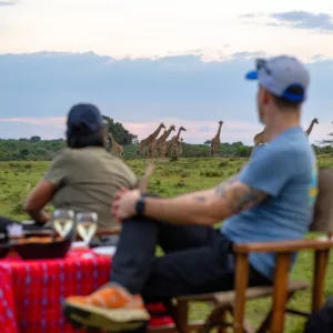 Sundowner in The Mara