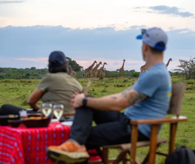 Sundowner in The Mara
