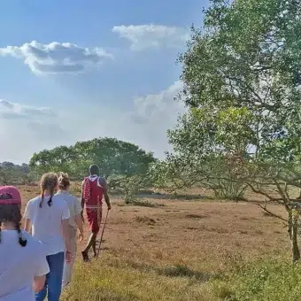 Nature walk in Masai Mara