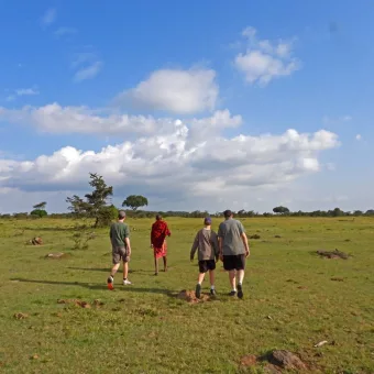 Nature Walk in Masai Mara plains