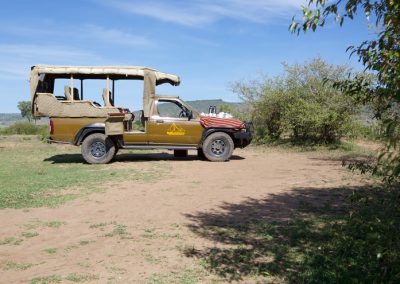 Game Drives (7)