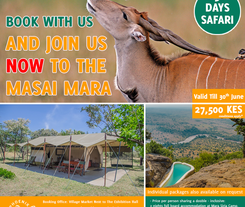 Book With Us Today For Experience Like No Other – Join A Shared Road Package To The Masai Mara Now!