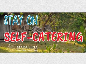 Stay On Self-Catering