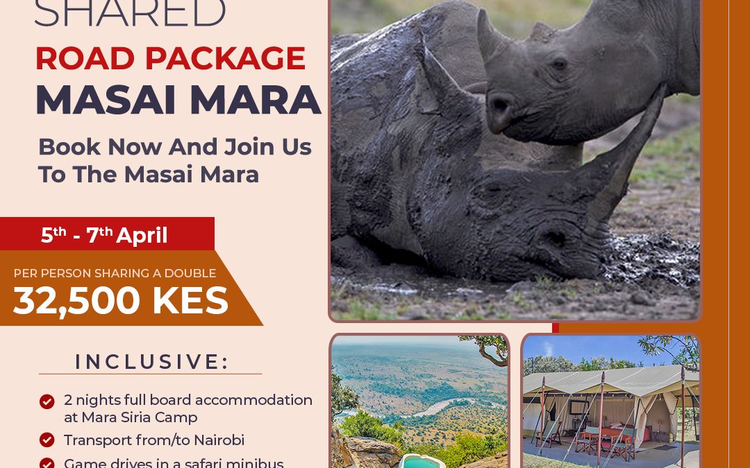 Book With Us Today For Experience Like No Other – Join A Shared Road Package To The Masai Mara