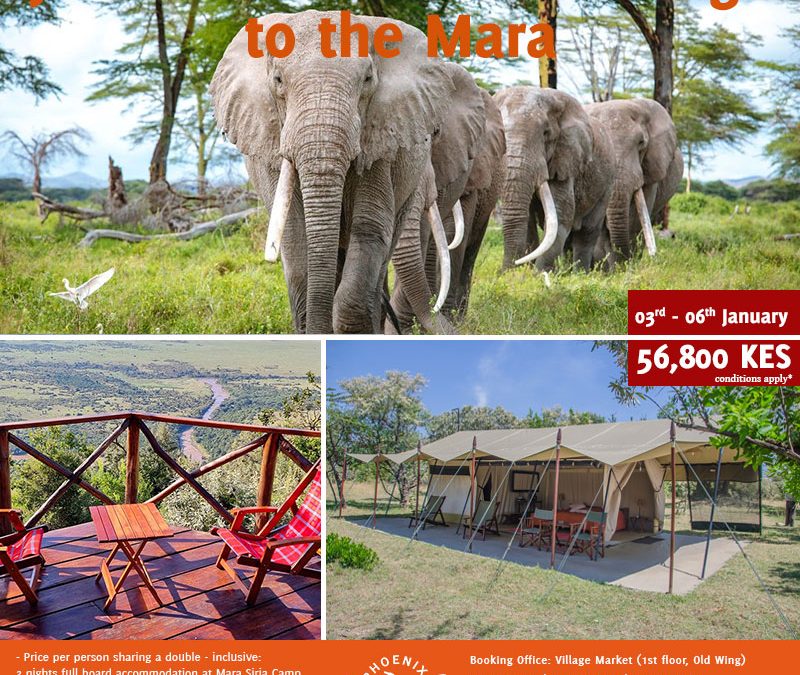 Shared Road Package to the Mara, 03rd-06th January