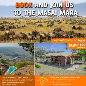 Book With Us Today For Experience Like No Other – Join A Shared Road Package To The Masai Mara