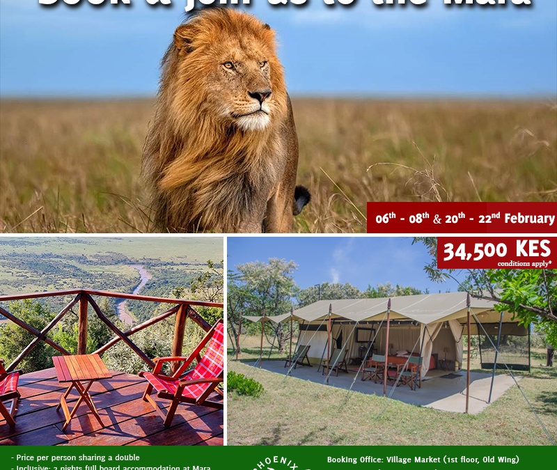 Shared Road Package to the Mara, 6th-8th & 20th-22nd February