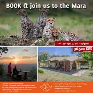 Shared Road Package to the Mara, 18th-20th April & 21st-23rd June