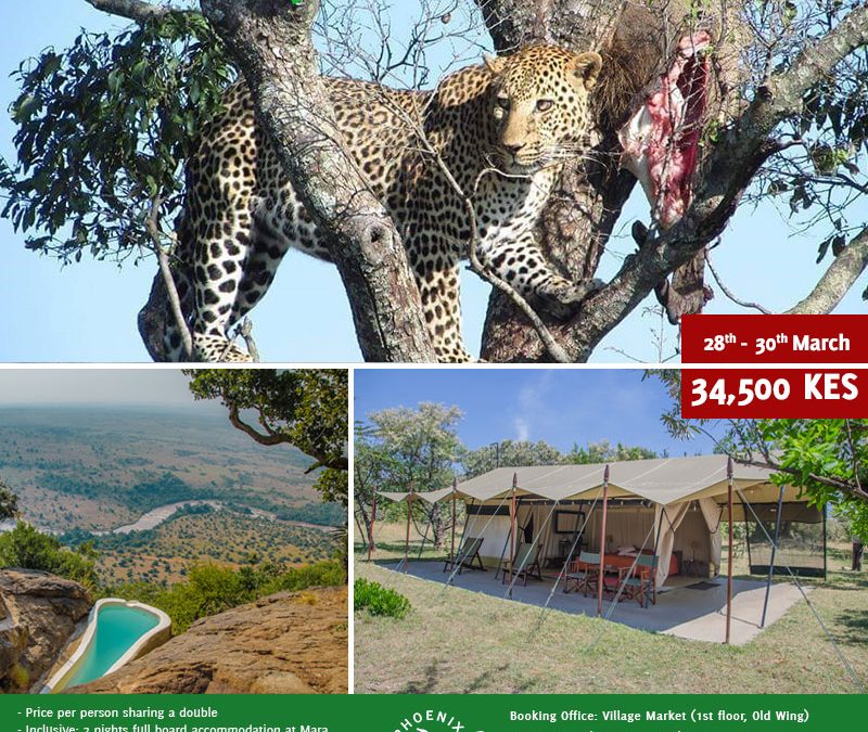 Shared Road Package to the Mara, 28th-30th March