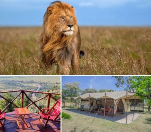 Group Safaris to the Masai Mara - Shared Road Packages