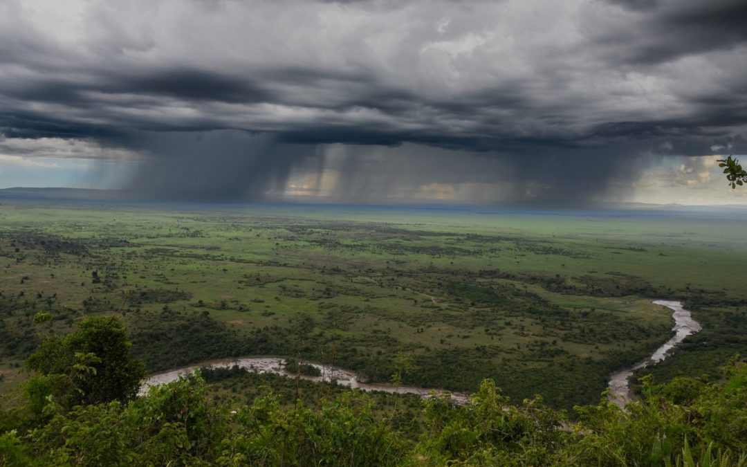The Mara Siria Story: Relishing the Rains in the Masai Mara
