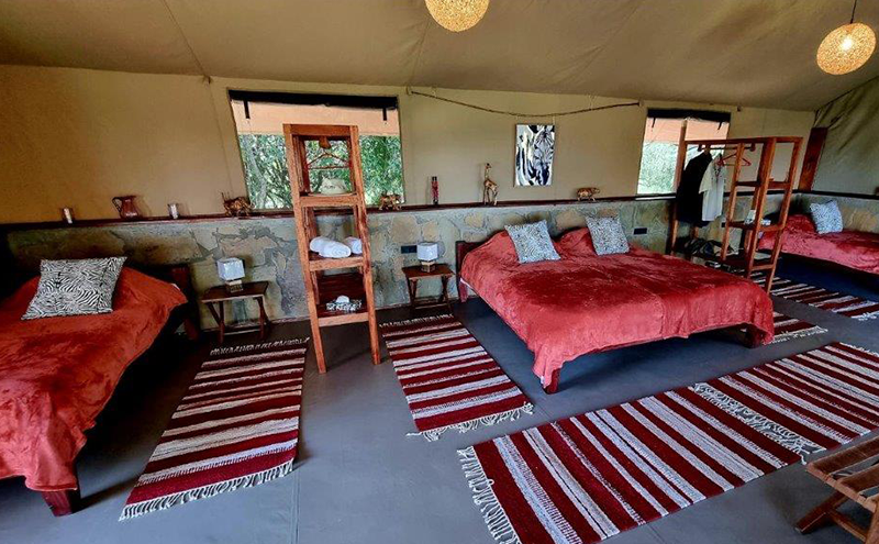 Neues Deluxe Zelt im Mara Siria Camp