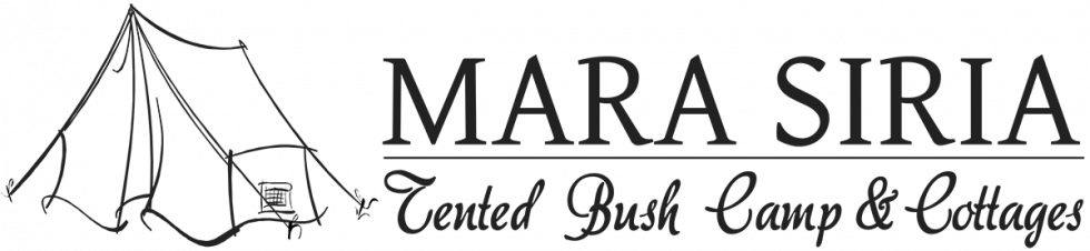 Mara Siria Header Logo