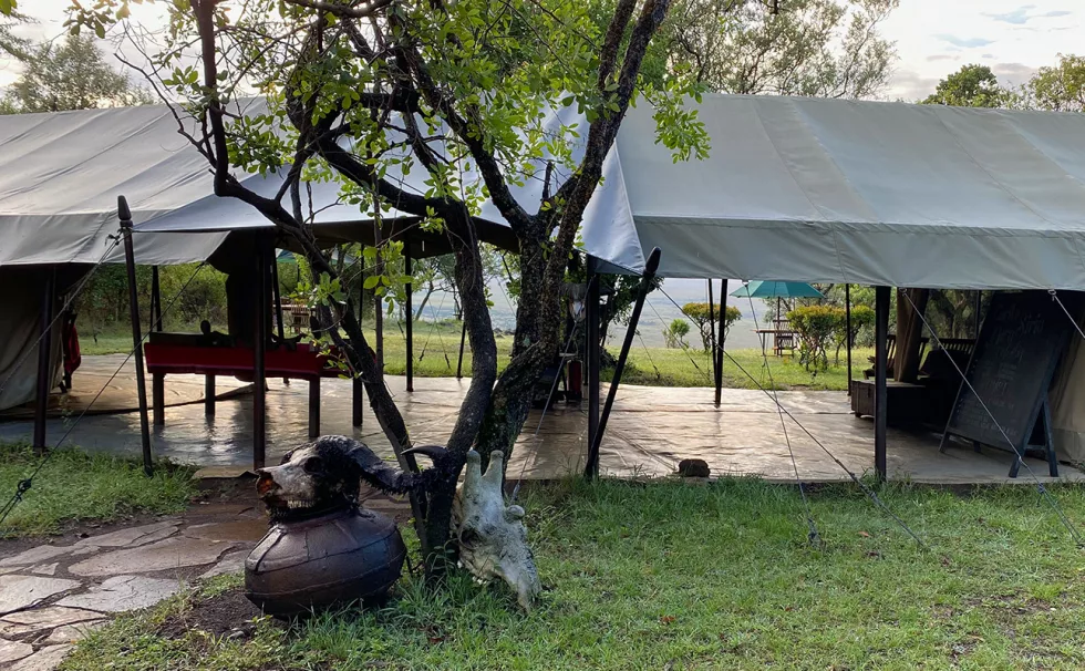 Lobby Tent - Camp Lobby