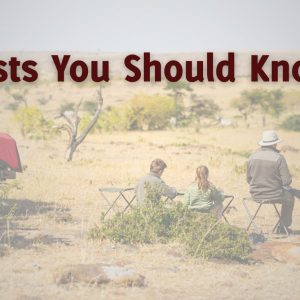 Safari packages