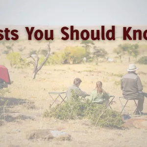 Safari packages
