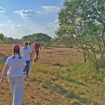 Nature walk in Masai Mara