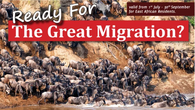 Wildebeest crossing the Masai Mara River during Great Migration