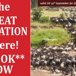 The Great Migration is here!