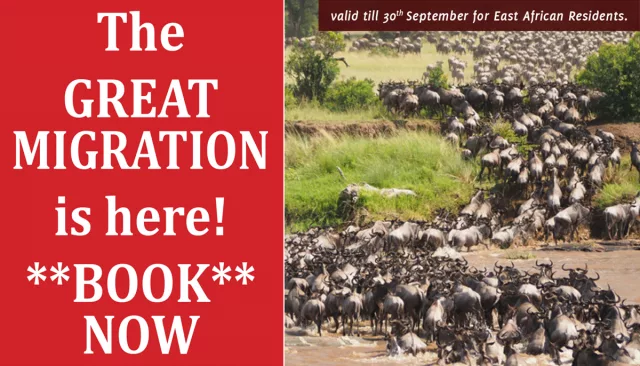 The Great Migration is here!