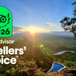 Tripadvisor Travellers Choice Award 2026