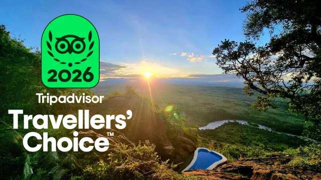 Tripadvisor Travellers Choice Award 2026