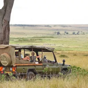 Game Drives in our 4x4 Game Viewer in Masai Mara Triangle