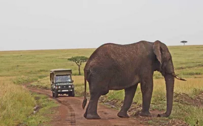 Responsible Game Drives in the Masai Mara Triangle