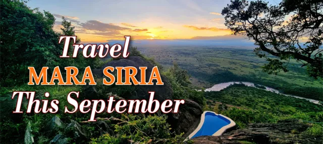 September Safari Masai Mara Special for Residents