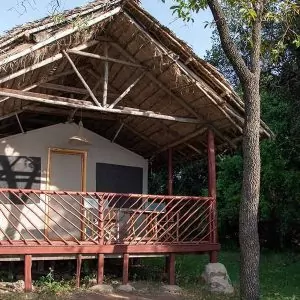 Deluxe Tent - outside - Aussenansicht