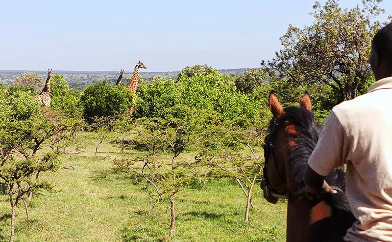 Horseback Safari in Masai Mara