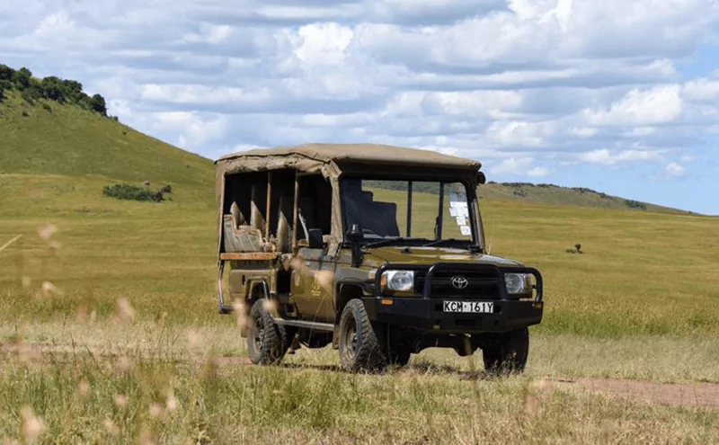 Our 4x4 open game viewer on Masai Mara game drive