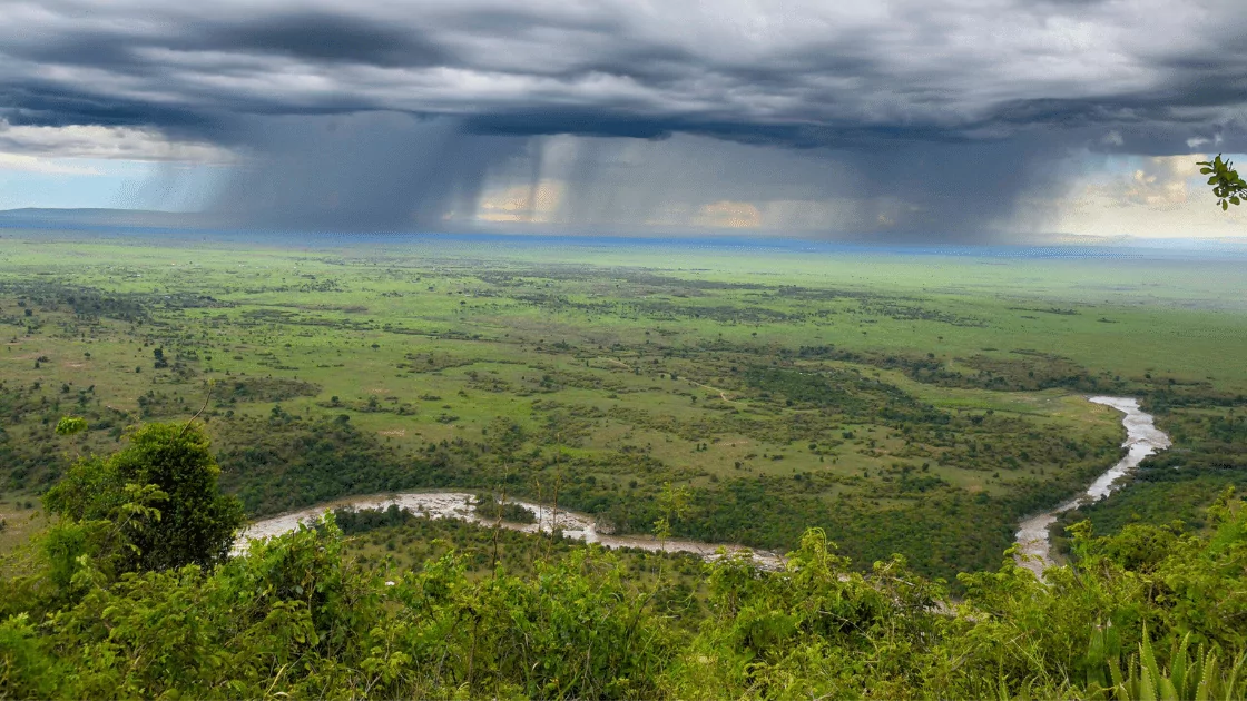 Great Migration Guide11