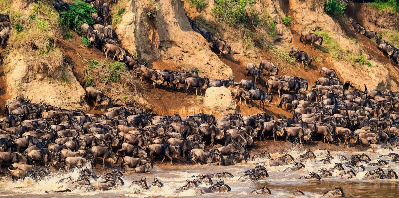 Great Migration Guide19
