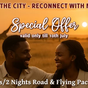 Reconnect disconnect campaign