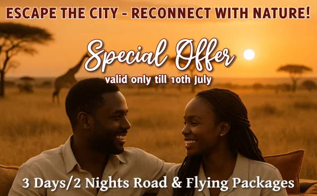 Reconnect disconnect campaign
