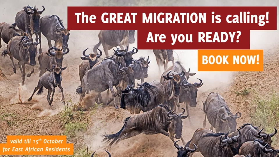 The Great Migration